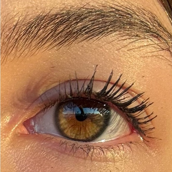 ellalicari426
